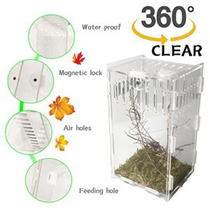 5x4x8 inch Magnetic Acrylic Reptile Case, Vertical Transparent Tarantula Enclosure Tank, Micro Habitat Terrariums Suitable Insect, Snails, Hermit Crabs, Lizards, Frogs, clear, Vertical：5x4x8(LxWxh)in