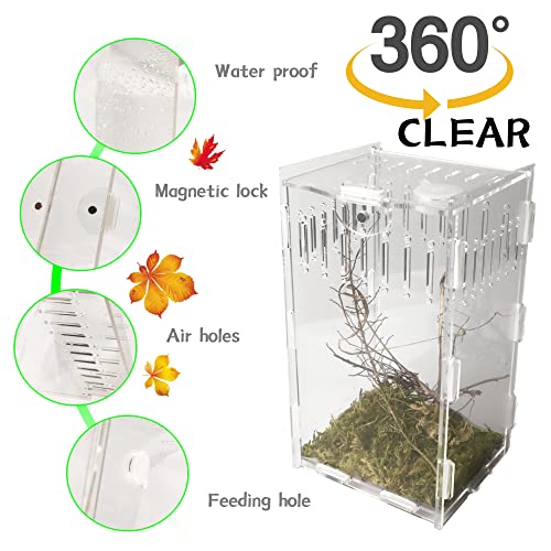 5x4x8 inch Magnetic Acrylic Reptile Case, Vertical Transparent Tarantula Enclosure Tank, Micro Habitat Terrariums Suitable Insect, Snails, Hermit Crabs, Lizards, Frogs, clear, Vertical：5x4x8(LxWxh)in