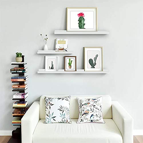 NBWOOD Viva Set of 2 Photo Ledge Picture Display Floating Wall Shelf, White(24-inch 36-inch) 222