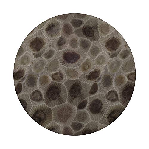 Petoskey Stone- Michigan PopSockets PopGrip: Swappable Grip for Phones & Tablets