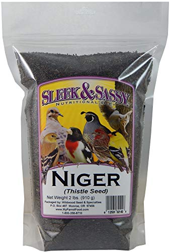 Niger (Nyjer) Thistle Bird Seed (2 lbs.)