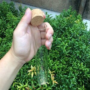 Glass Bottles Vials Jars Test Tube With Cork Stopper Empty 110ml Jars Glass Transparent Clear Bottles Corks 12units (110ml)