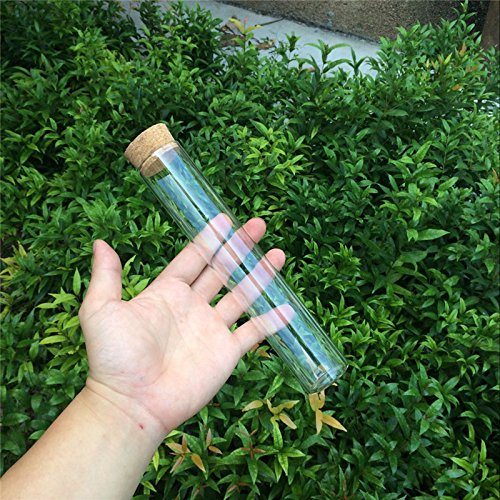 Glass Bottles Vials Jars Test Tube With Cork Stopper Empty 110ml Jars Glass Transparent Clear Bottles Corks 12units (110ml)