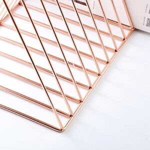 Magazine Rack Book Record Holder, Desktop Iron Storage Rack Bookshelf Multifunction Triangle File Organizer Decor Home Office (Rose gold)