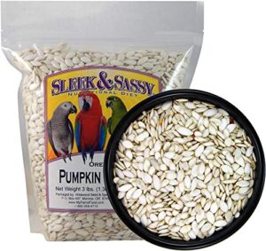 sleek & sassy nutritional diet oregon squash (pumpkin) seeds bird treat (3 lbs.)