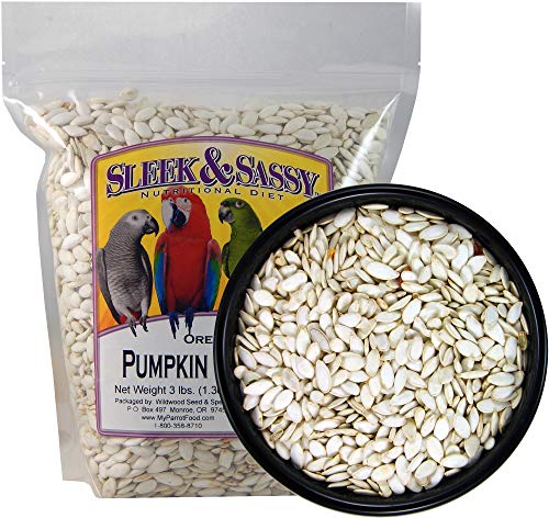 SLEEK & SASSY NUTRITIONAL DIET Oregon Squash (Pumpkin) Seeds Bird Treat (3 lbs.)