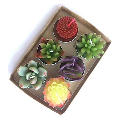 WANGMINGTU Succulent Cactus Tea Light Candles Unscented 6pcs Assorted for Birthday Party Favors Wedding Decor Gift Sets