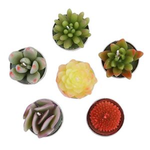 WANGMINGTU Succulent Cactus Tea Light Candles Unscented 6pcs Assorted for Birthday Party Favors Wedding Decor Gift Sets