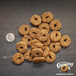 Fromm Crunchy O's Blueberry Blasts With Chicken Dog Treats 6 oz