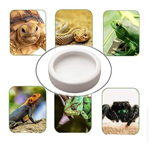 Tfwadmx 2 Pack Reptile Food Bowl, Mini Ceramic Water Feeder Bowl, Reptile Worm Feeding Dish for Lizard Turtle Bearded Dragon Anoles Crested Gecko Hermit Crab Leopard Gecko Chameleon Corn Snake