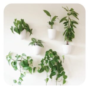 make good virgo self-watering wall planters (set of 6) - easy to water and install - lightweight - design your own vertical garden - wall planters for indoor plants