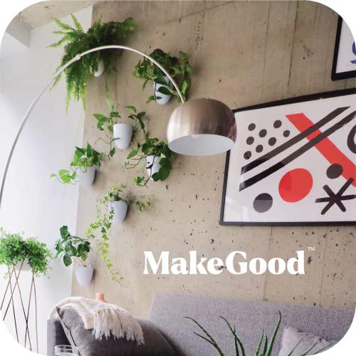 Make Good Virgo Self-Watering Wall Planters (Set of 6) - Easy to Water and Install - Lightweight - Design Your Own Vertical Garden - Wall Planters for Indoor Plants