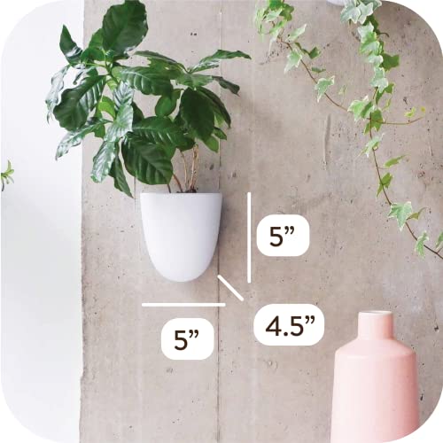 Make Good Virgo Self-Watering Wall Planters (Set of 6) - Easy to Water and Install - Lightweight - Design Your Own Vertical Garden - Wall Planters for Indoor Plants