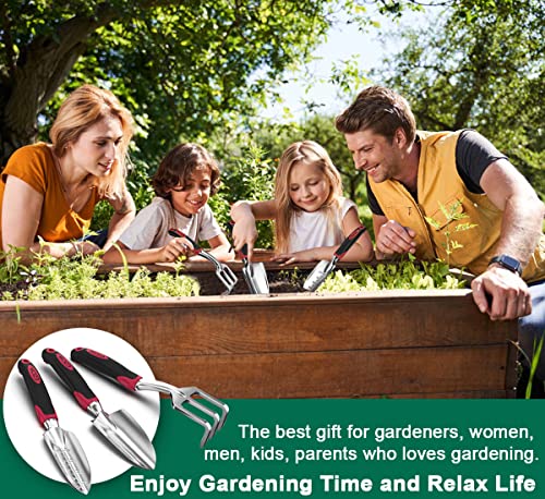 ESOW 11 Includes Hand, Transplant Trowel and Cultivator H Tool Set, 3 Piece Cast-Aluminum Heavy Duty Gardening Kit I, b