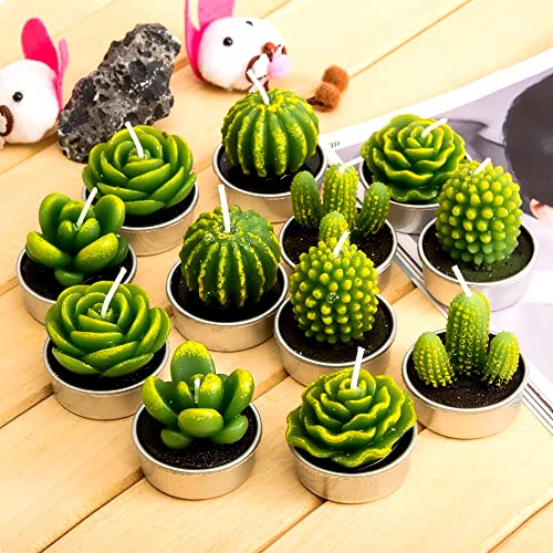 Phyther Cactus Tealight Candles, Unscented Decoration Tea Lights Candle, for Decor, Party Favors, Wedding, Baby, and Bridal Shower (12 Pieces)