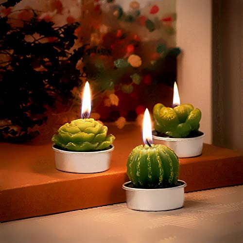 Phyther Cactus Tealight Candles, Unscented Decoration Tea Lights Candle, for Decor, Party Favors, Wedding, Baby, and Bridal Shower (12 Pieces)