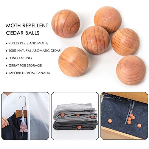 Allhom Small size Garment Bags - Set of 6 translucent 31 inch Hanging Clothing Bags with Cedar Balls, for Boy girls’ Sweater, hoodies, Shorts