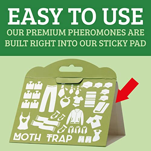 Clothes Moth Traps 6 Pack | Child and Pet Safe | No insecticides | Premium Attractant | Protect Clothes, Sweaters, Wool, Carpet | Safe Moth Killer