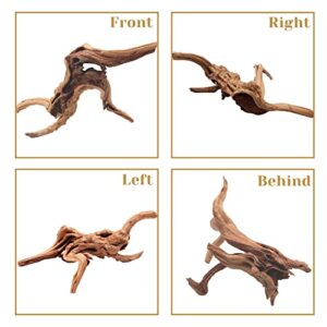 Tfwadmx Natural Driftwood for Aquarium, Reptile Branches Terrarium Wood Aquarium Trunk Driftwood Tree Fish Tank Log Decoration 2 Pcs