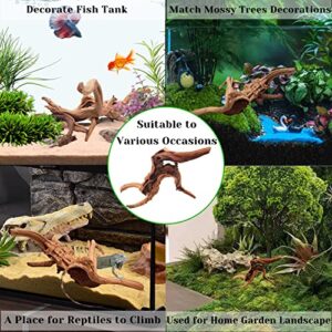 Tfwadmx Natural Driftwood for Aquarium, Reptile Branches Terrarium Wood Aquarium Trunk Driftwood Tree Fish Tank Log Decoration 2 Pcs