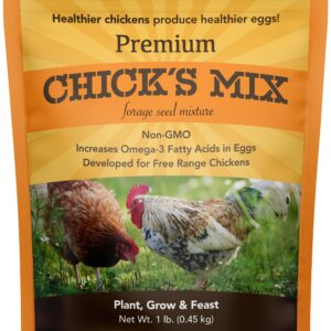 Barenbrug Premium Free Range Chicks Mix Forage Seed Mixture, 1 lb, One Pack