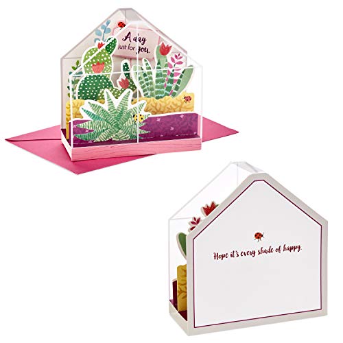 Hallmark Paper Wonder Displayable Pop Up Birthday Card or Mothers Day Card (Succulents),5 X 7. 2 inches,599RZW1015