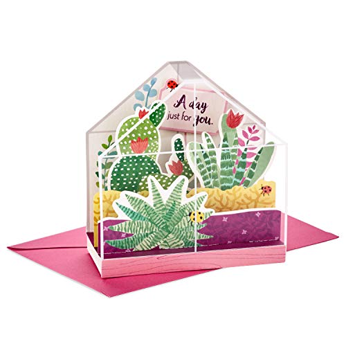 Hallmark Paper Wonder Displayable Pop Up Birthday Card or Mothers Day Card (Succulents),5 X 7. 2 inches,599RZW1015