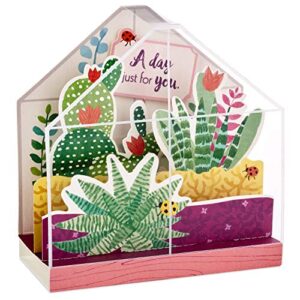 Hallmark Paper Wonder Displayable Pop Up Birthday Card or Mothers Day Card (Succulents),5 X 7. 2 inches,599RZW1015