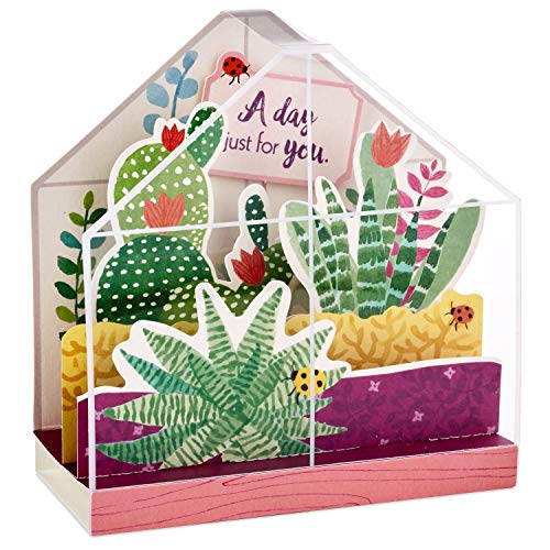 Hallmark Paper Wonder Displayable Pop Up Birthday Card or Mothers Day Card (Succulents),5 X 7. 2 inches,599RZW1015