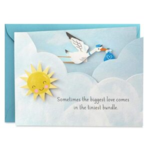 hallmark paper wonder paper craft baby shower card for baby boy (stork) - 499rzw1027,4-x-5.5-inch