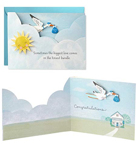 Hallmark Paper Wonder Paper Craft Baby Shower Card for Baby Boy (Stork) - 499RZW1027,4-x-5.5-inch