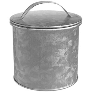 Amici Home Newport Galvanized Metal Canister | Dry Food Storage Container | Airtight Lid | 30 Ounce Capacity | Farmhouse Décor | Rustic Metal Canister for Kitchen Countertop (Silver)