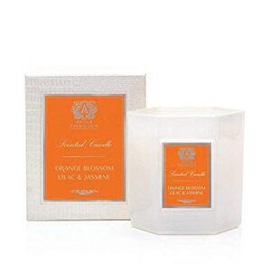 Antica Farmacista Scented Candle, Orange Blossom, 9 Ounce