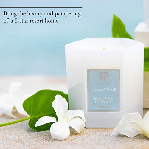 Antica Farmacista Scented Candle - Bergamot & Ocean Aria, 9 Oz