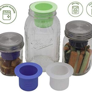 Divider Cup by Mason Jar Lifestyle - For Salads, Dips, and Snacks. Plastic Free Bento Lunch Container(Frost, Wide Mouth)