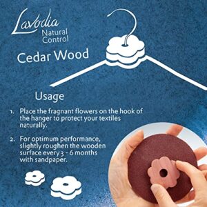 Cedar Wood Closet Freshener for Clothes Hangers: 30 Cedar Wood Flowers for Wardrobe Closet – Cedar Hangers – Wood Ring Pack – Closet Freshener LAVODIA