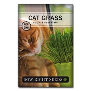 sow right seeds - cat grass seed for planting - easy to grow oat grass that your cat will love - non-gmo - full instructions - great gardening gift (1 packet)