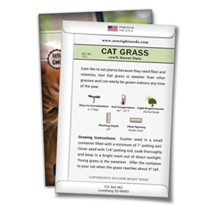 Sow Right Seeds - Cat Grass Seed for Planting - Easy to Grow Oat Grass That Your Cat Will Love - Non-GMO - Full Instructions - Great Gardening Gift (1 Packet)