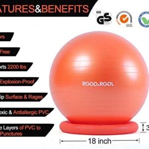 RGGD&RGGL Yoga Ball Chair, Exercise Ball with Leak-Proof Design, Stability Ring&2 Adjustable Resistance Bands for Any Fitness Level, 1.5 Times Thicker Swiss Ball for Home&Gym&Office&Pregnancy (65 cm)