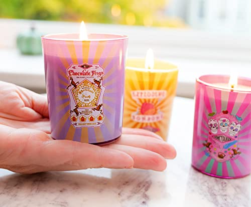 Harry Potter Honeydukes Scented Soy Wax Candle Collection, Set of 3 with Unique Fragrances | 20-Hour Burn Time | Home Decor Housewarming Essentials, Wizarding World Hogwarts Gifts and Collectibles
