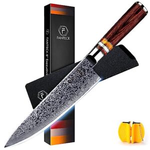 fanteck chef knife 8 inch, japanese damascus kitchen knife, vg10 67 layer high carbon stainless steel professional sharp chef’s knife,pakkawood handle,gift box,plastic sheath& sharpener