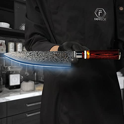 FANTECK Chef Knife 8 Inch, Japanese Damascus Kitchen Knife, VG10 67 Layer High Carbon Stainless Steel Professional Sharp Chef’s Knife,Pakkawood Handle,Gift box,Plastic sheath& Sharpener