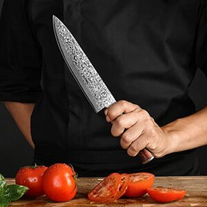 FANTECK Chef Knife 8 Inch, Japanese Damascus Kitchen Knife, VG10 67 Layer High Carbon Stainless Steel Professional Sharp Chef’s Knife,Pakkawood Handle,Gift box,Plastic sheath& Sharpener