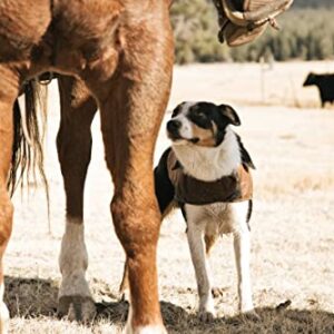 Carhartt Firm Duck Insulated Dog Chore Coat Brown/Brass