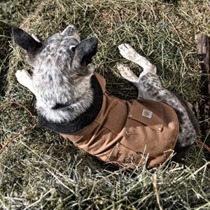 Carhartt Firm Duck Insulated Dog Chore Coat Brown/Brass