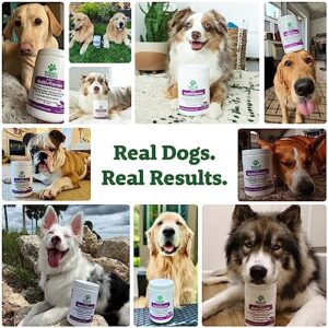 Doggie Dailies 5 in 1 Multivitamin for Dogs, 225 Soft Chews, Dog Multivitamin for Skin and Coat Health, Joint Health, Improved Digestion, Antioxidants, Support a Healthy Immune System