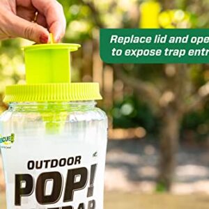 RESCUE! POP! Fly Trap – Large Reusable Fly Trap for Outdoor Use - 3 Pack