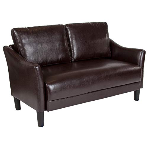 EMMA + OLIVER Living Room Loveseat Couch with Single Cushion in Brown LeatherSoft