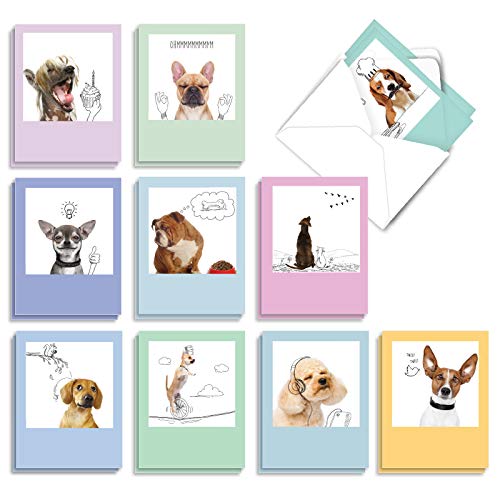 The Best Card Company - 20 Boxed Dog Cards with Envelopes (4 x 5.12 Inch) - Blank Assortment (10 Designs, 2 Each) - Dogs & Doodles AM6582OCB-B2x10