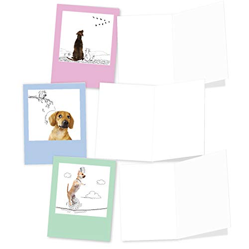 The Best Card Company - 20 Boxed Dog Cards with Envelopes (4 x 5.12 Inch) - Blank Assortment (10 Designs, 2 Each) - Dogs & Doodles AM6582OCB-B2x10